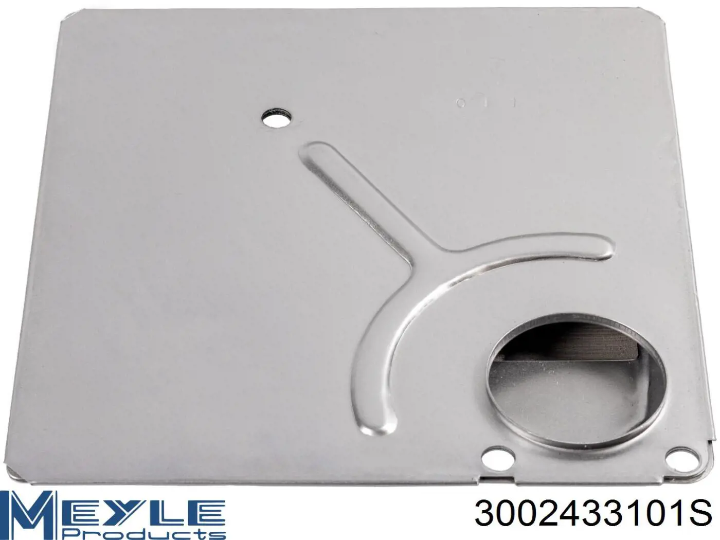 Compre 3002433101S Meyle Filtro da Caixa Automática de Mudança