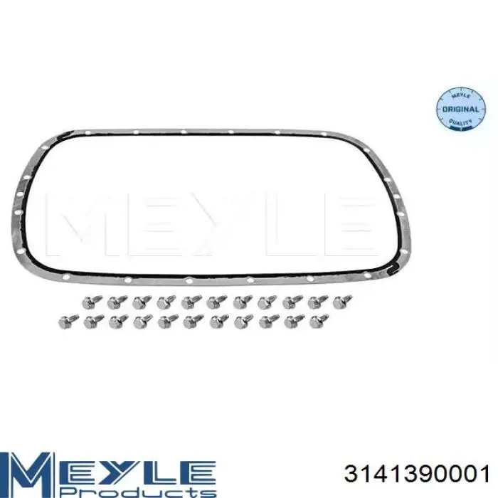 Compre 500787755 Hans Pries (Topran) Vedante de panela da Caixa Automática de Mudança/Caixa Mecânica de Mudança