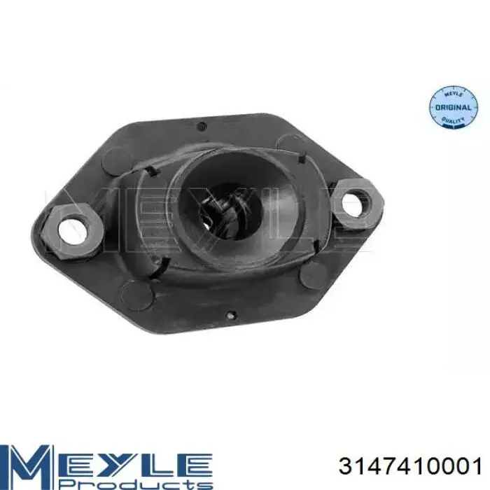 Compre RC02547 Raiso Suporte de amortecedor traseiro