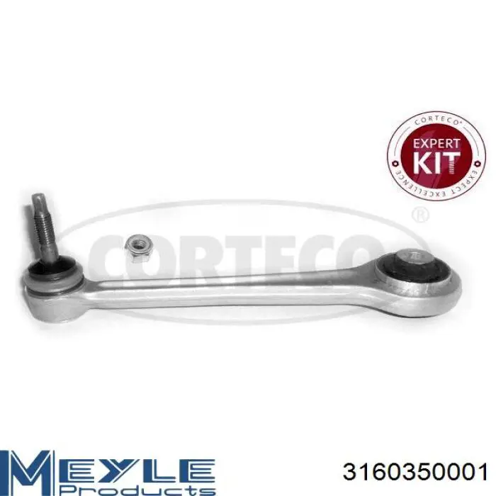 Compre RL777424B Raiso Braço oscilante superior esquerdo/direito de suspensão traseira