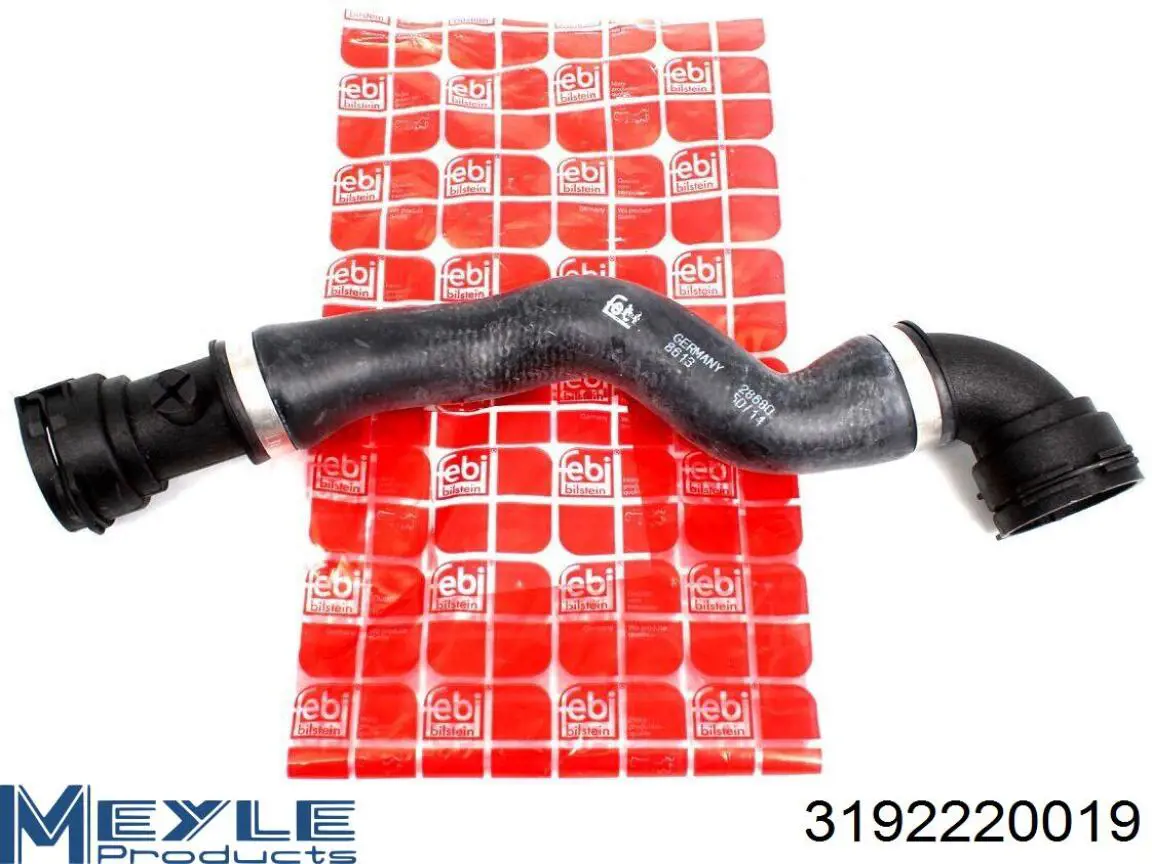 Compre 3192220019 Meyle Mangueira (cano derivado) do radiador de esfriamento superior