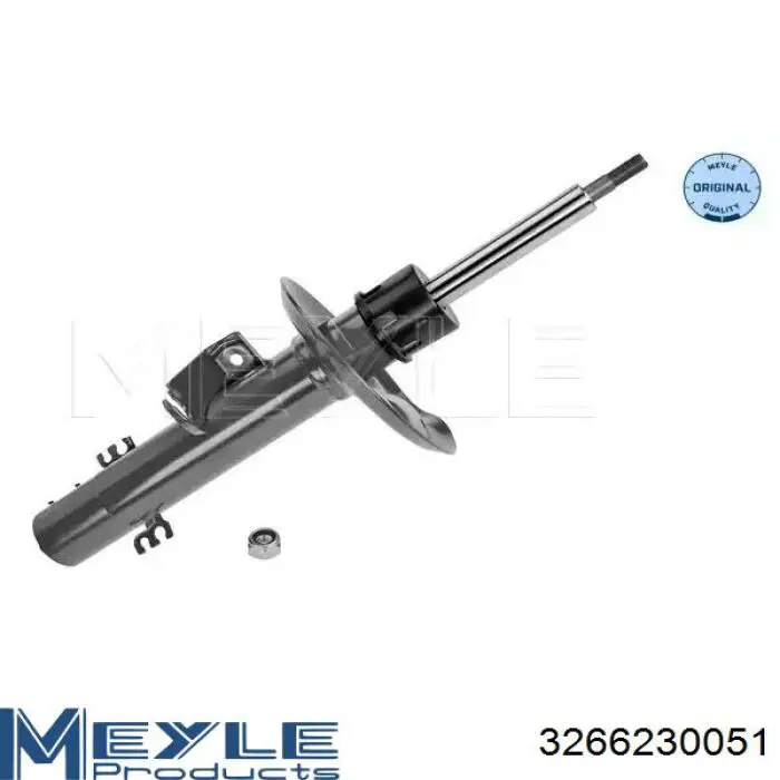 RS317571 Raiso Amortecedor dianteiro direito