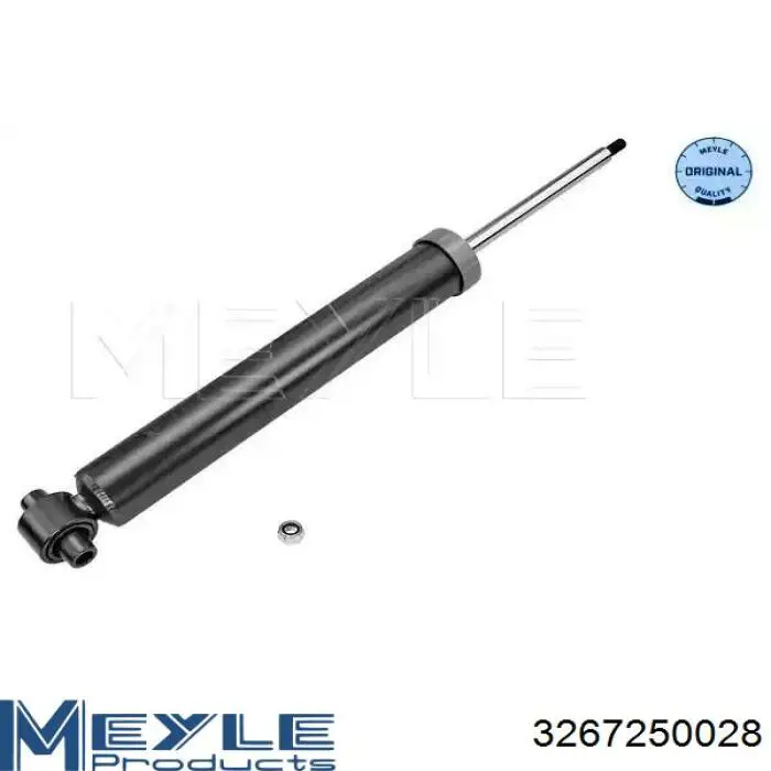 RS315872 Raiso Amortecedor traseiro