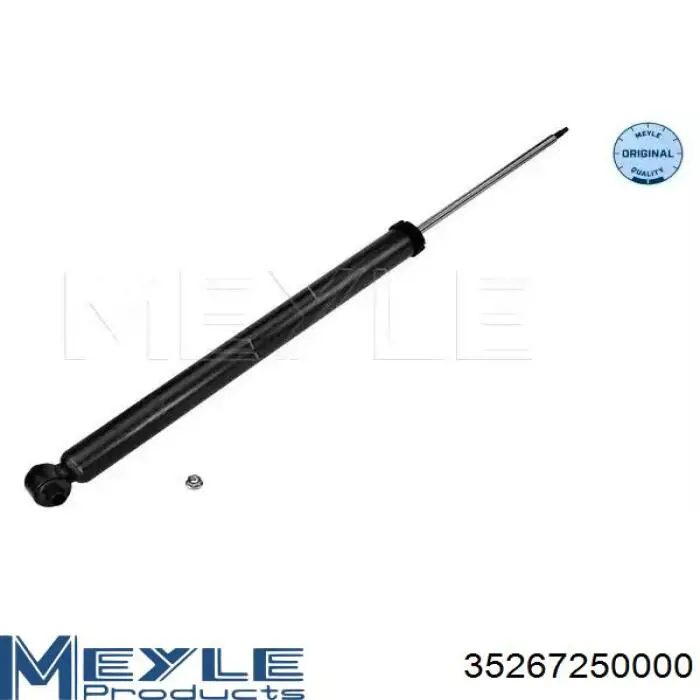 Compre RS313419 Raiso Amortecedor traseiro