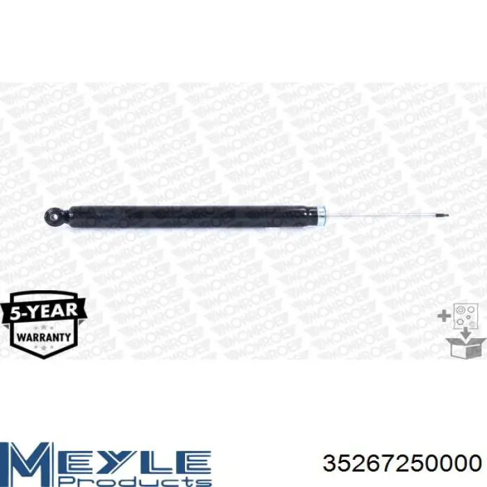 Compre RS313419 Raiso Amortecedor traseiro
