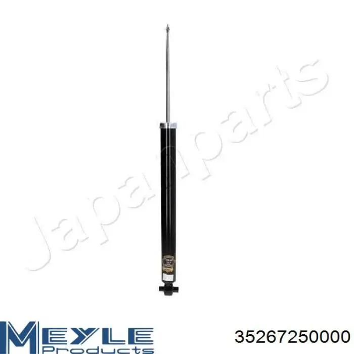 Amortecedor traseiro RS313419 Raiso