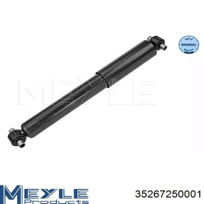 Compre RS313856 Raiso Amortecedor traseiro