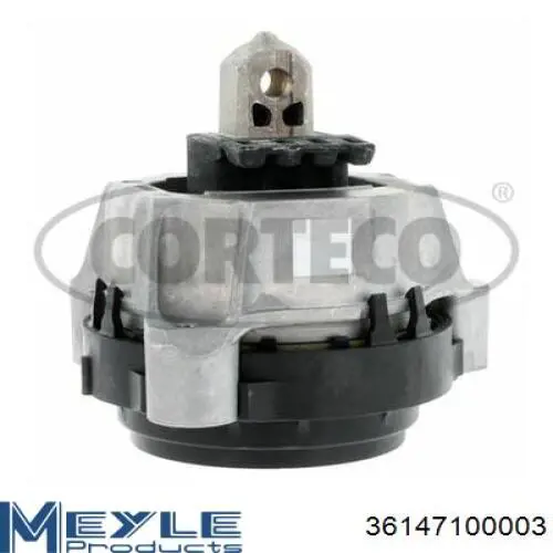 Compre 55501AV606 Nissan/Infiniti Viga de suspensão traseira (plataforma veicular)