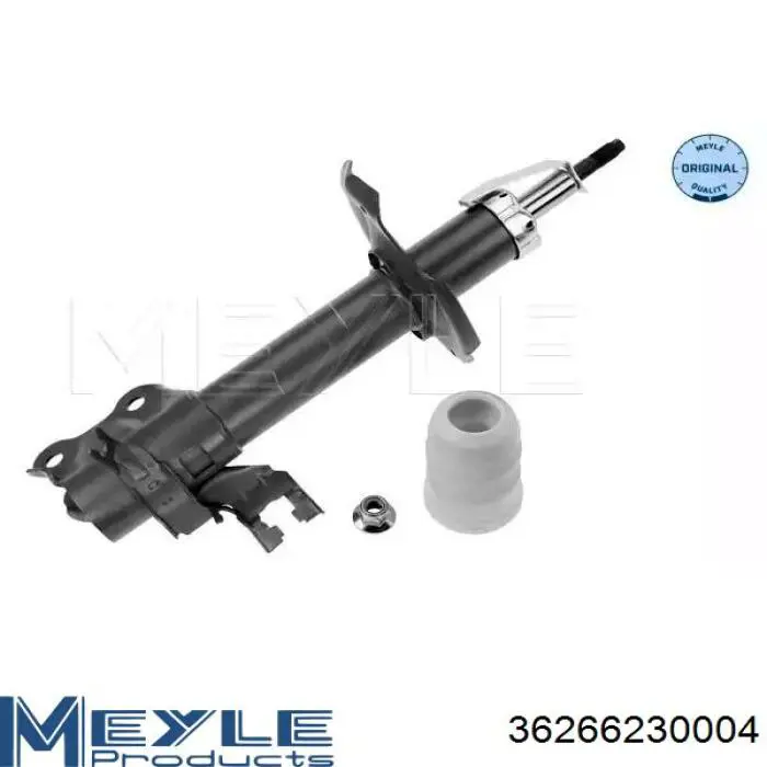 Compre RS317157 Raiso Amortecedor dianteiro esquerdo