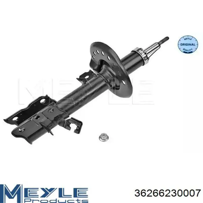 Compre RS314037 Raiso Amortecedor dianteiro direito