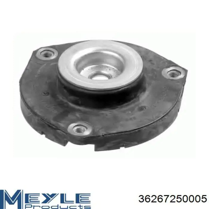 Amortecedor traseiro RS317134 Raiso