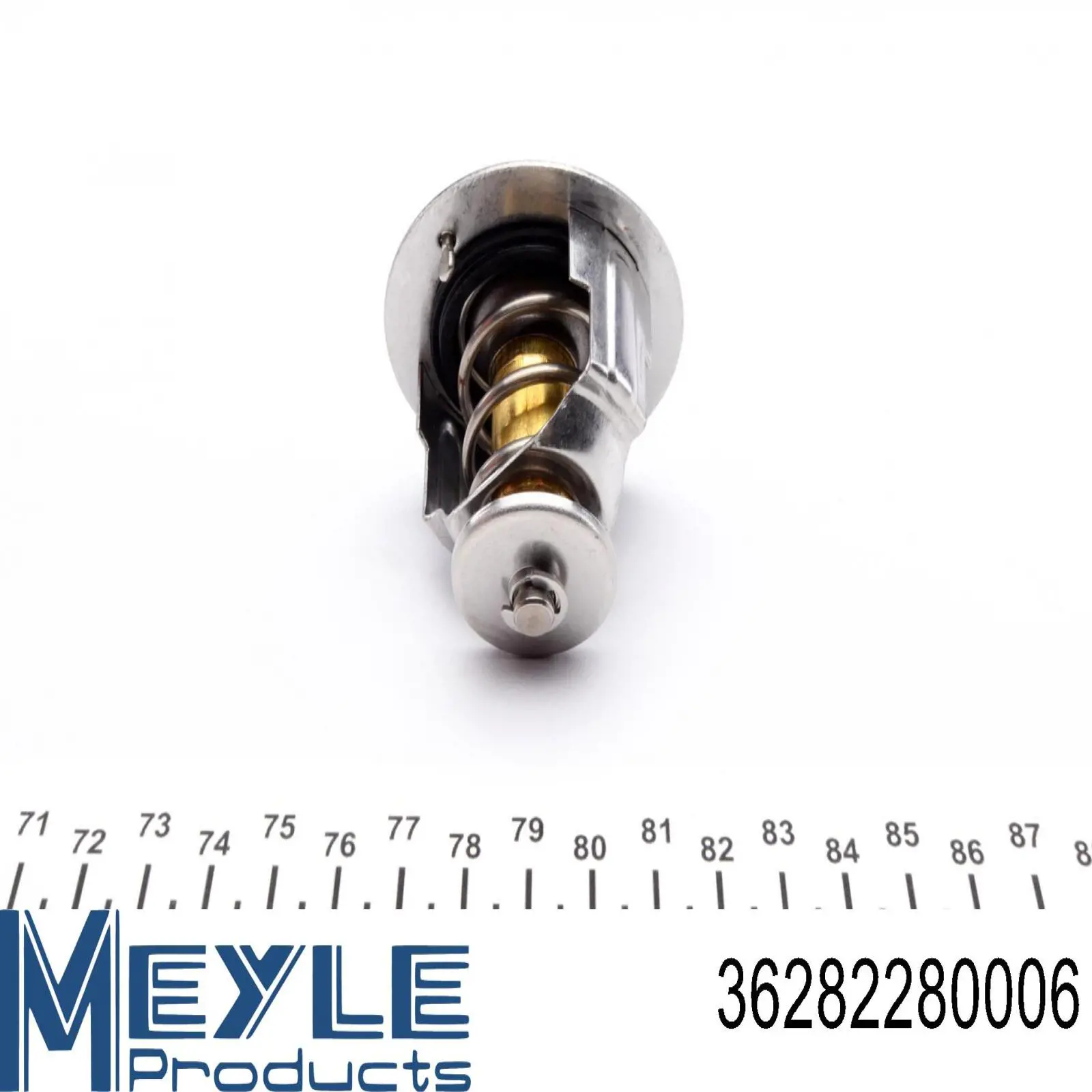Compre 36282280006 Meyle Termostato