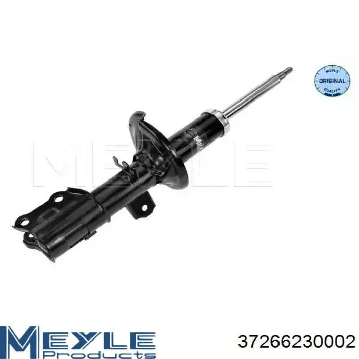 Compre RS317598 Raiso Amortecedor dianteiro esquerdo