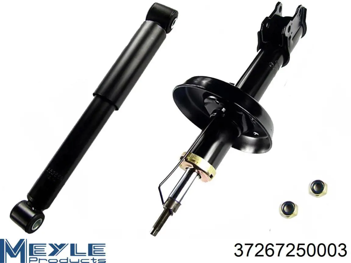 Amortecedor traseiro RS314754 Raiso