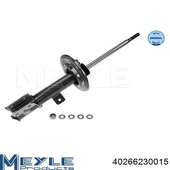 Compre RS314886 Raiso Amortecedor dianteiro esquerdo