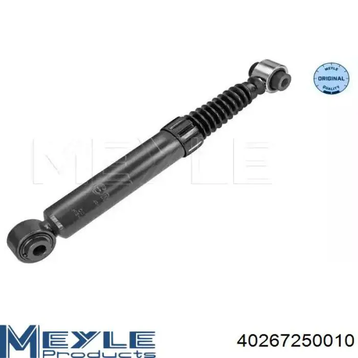 RS314934 Raiso Amortecedor traseiro