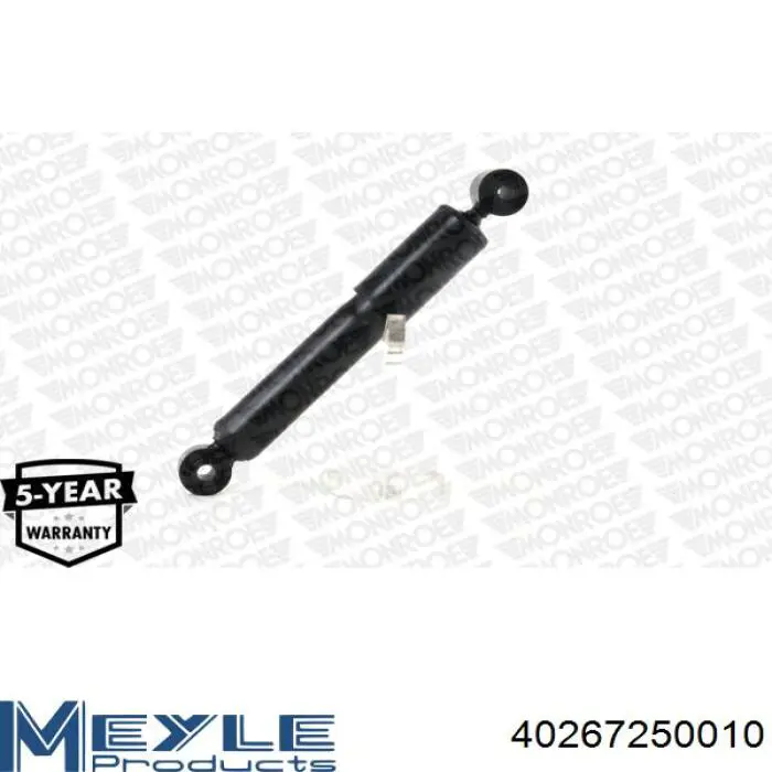 Amortecedor traseiro Raiso RS314934 preço, a partir de 33,88 USD