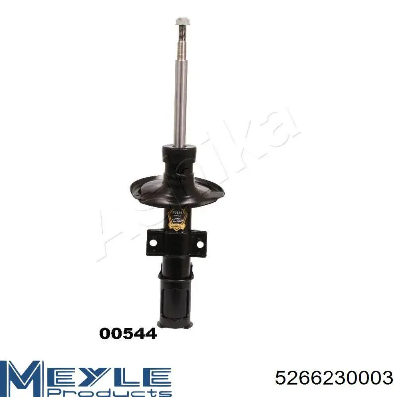 Compre RS554046 Raiso Amortecedor dianteiro