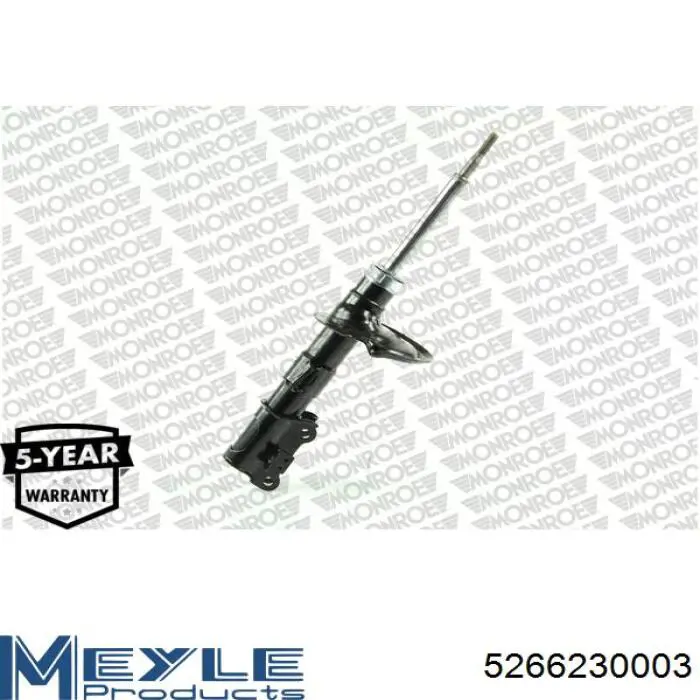 Amortecedor dianteiro RS554046 Raiso