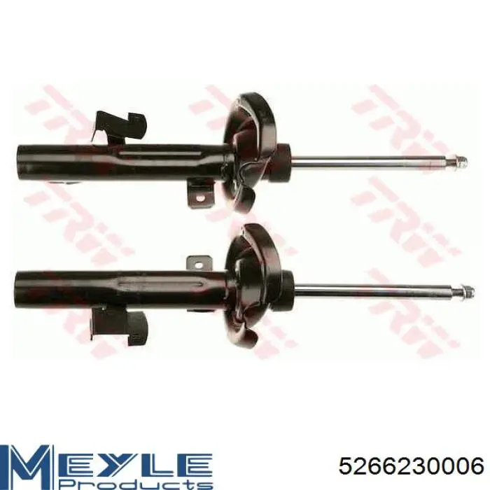 Compre RS313665 Raiso Amortecedor dianteiro direito