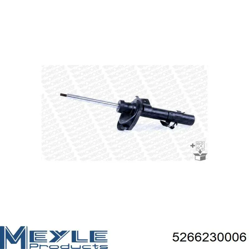 Amortecedor dianteiro direito RS313665 Raiso