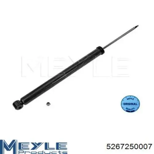 Amortecedor traseiro RS313669 Raiso