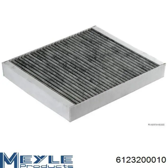 Compre 6123200010 Meyle Filtro de salão