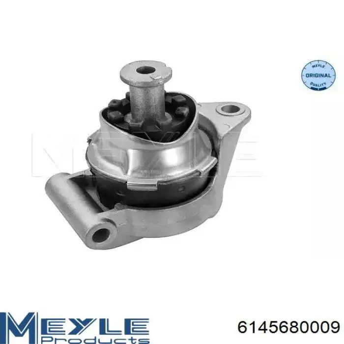 RH115009 Reinhoch Coxim (suporte) traseiro de motor