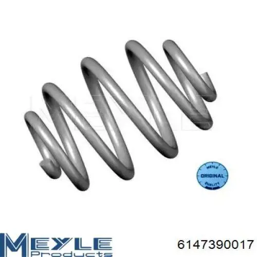 Compre 53390 AIC Mola traseira