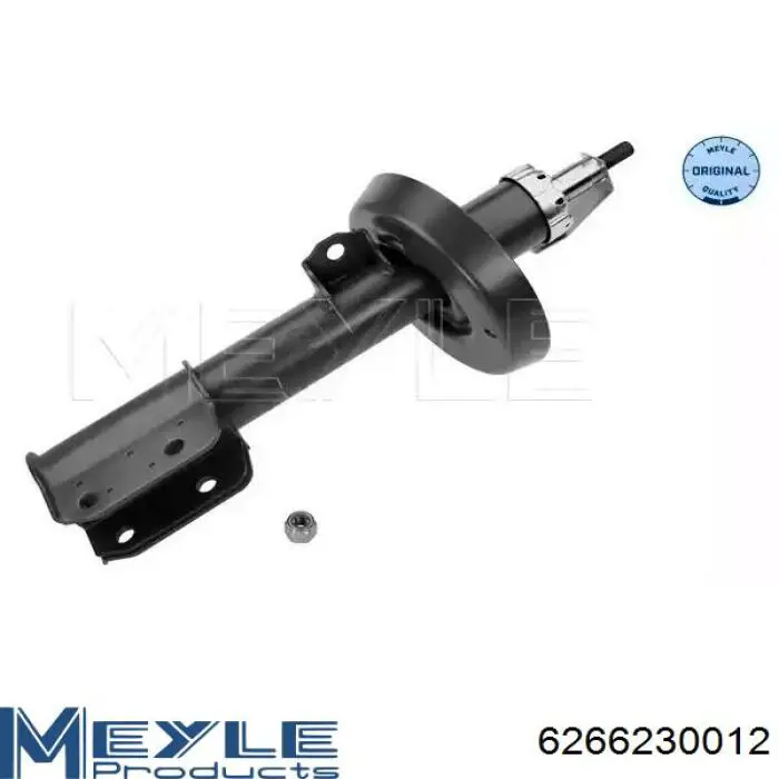 Compre RS280360 Raiso Amortecedor dianteiro direito