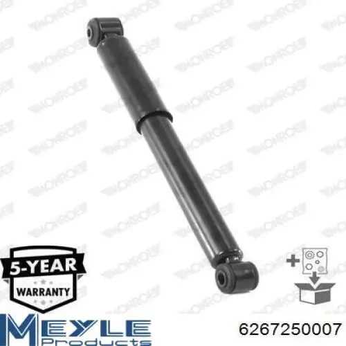 Amortecedor traseiro RS317335 Raiso