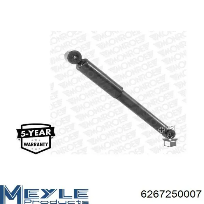 Compre RS317335 Raiso Amortecedor traseiro