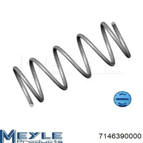 Mola dianteira 7146390000 Meyle