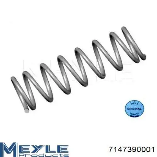 Compre 46815 Febi Mola traseira