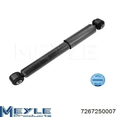 RS317341 Raiso Amortecedor traseiro