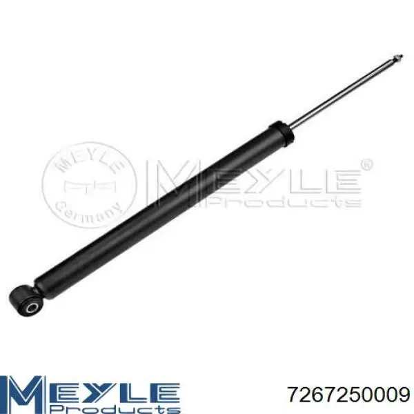 Compre RS313291 Raiso Amortecedor traseiro