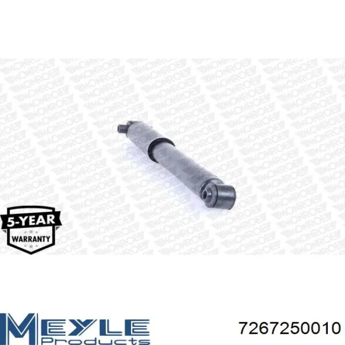 Compre RS315303 Raiso Amortecedor traseiro