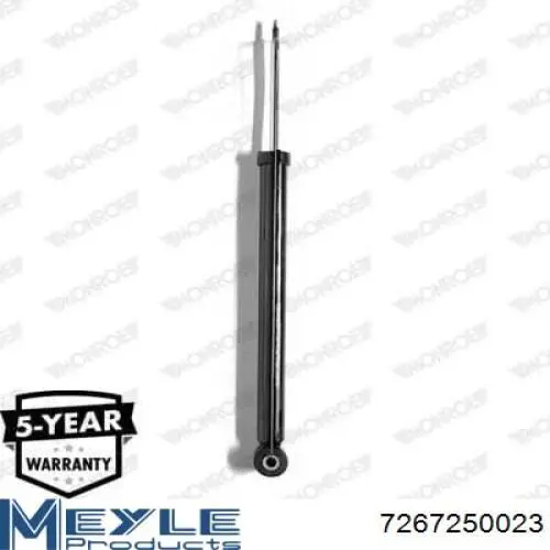 Amortecedor traseiro Raiso RS315868 preço, a partir de 21,33 USD