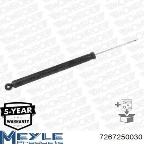 Amortecedor traseiro Raiso RS315515 preço, a partir de 47,19 USD