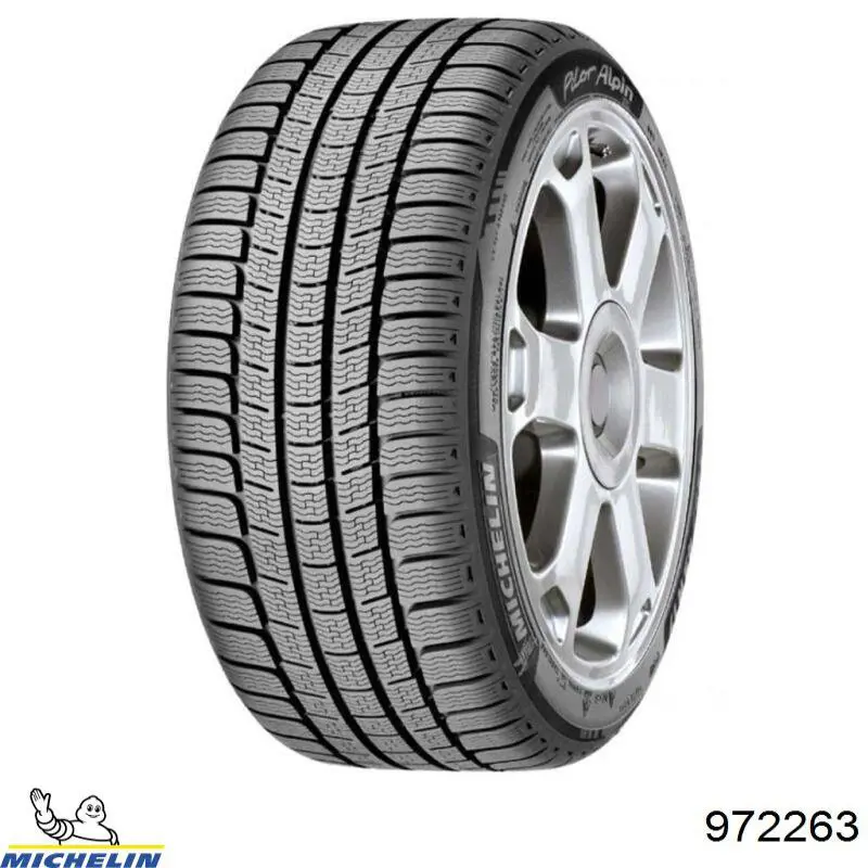 Pneus de inverno Pirelli 2391100 preço, a partir de 509,16 USD