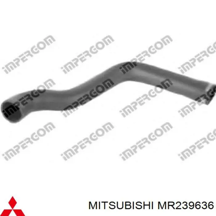 Compre MR239636 Mitsubishi Mangueira (cano derivado) inferior do radiador de esfriamento