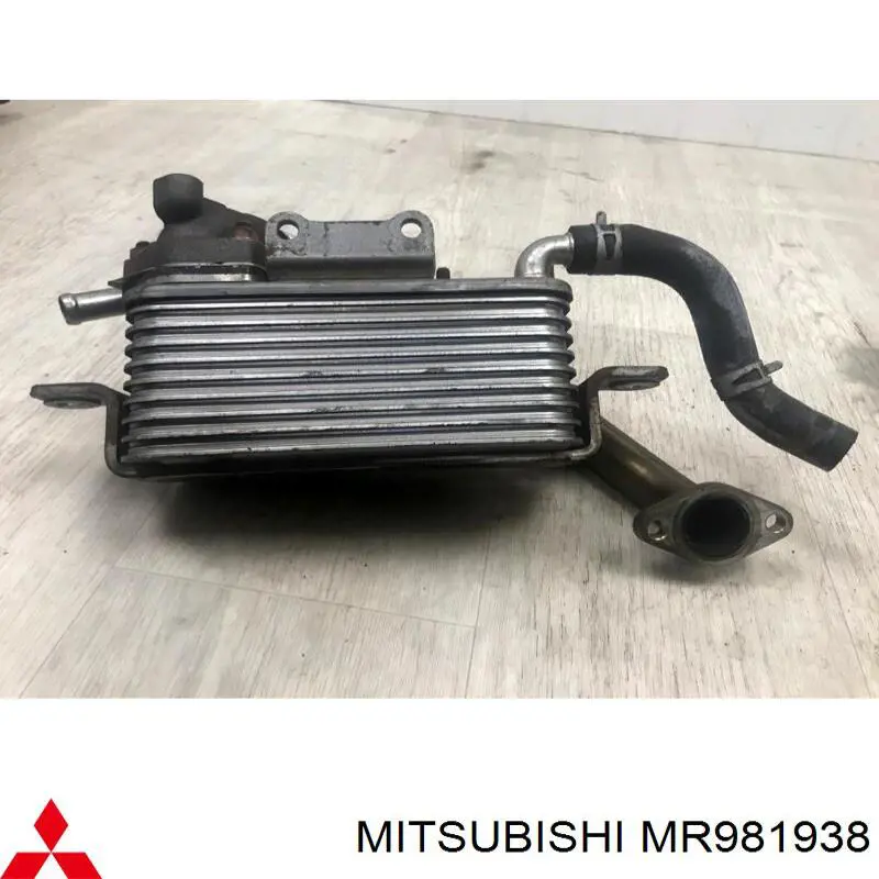 MR981908 Mitsubishi Porta dianteira direita