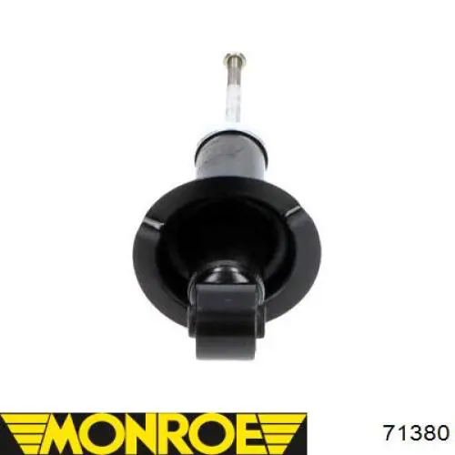 Amortecedor traseiro RS316880 Raiso