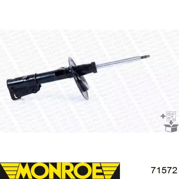 Compre RS310202 Raiso Amortecedor dianteiro