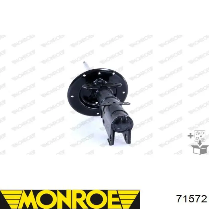 Amortecedor dianteiro RS310202 Raiso