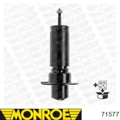 Compre RS331017 Raiso Amortecedor dianteiro