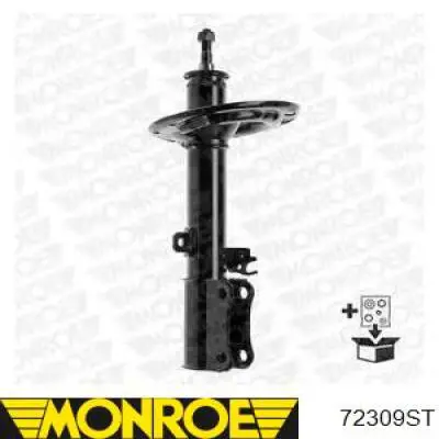 RS317193 Raiso Amortecedor traseiro direito