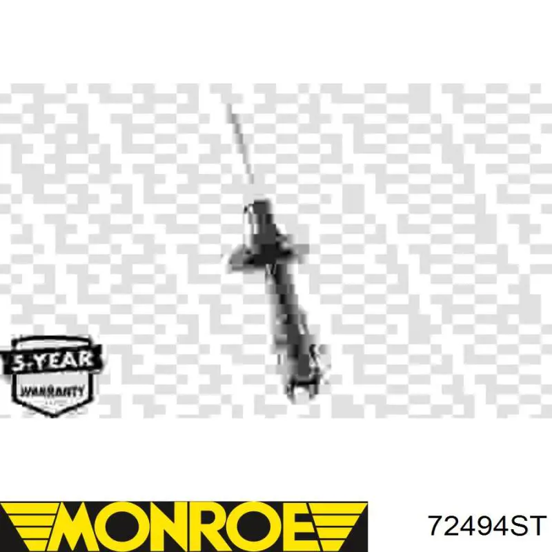 Compre RS317306 Raiso Amortecedor dianteiro esquerdo