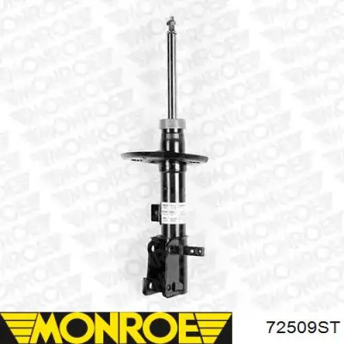 Amortecedor dianteiro direito Raiso RS315642 preço, a partir de 94,02 USD