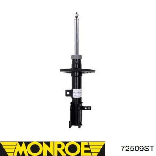 Amortecedor dianteiro direito RS315642 Raiso